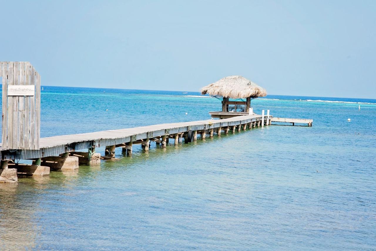 Blue Island Divers Casita Azul Villa Sandy Bay Exterior photo